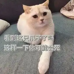 日常吸猫表情包