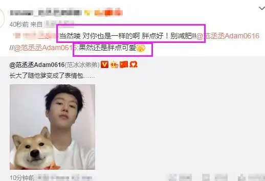 范丞丞与狗合照说长大了随他爹变成了表情包,网友胖点好别减肥