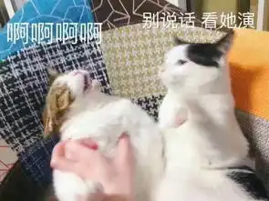 底妆到底是浮粉还是卡粉又该如何应对