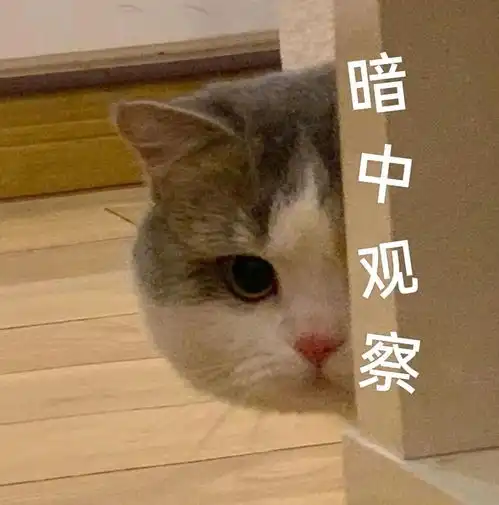 和对象聊天必备表情包,快来接收叭
