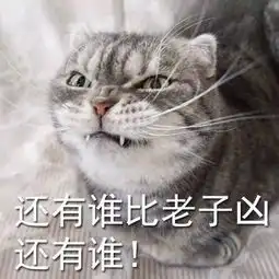 霸道总裁or小可爱