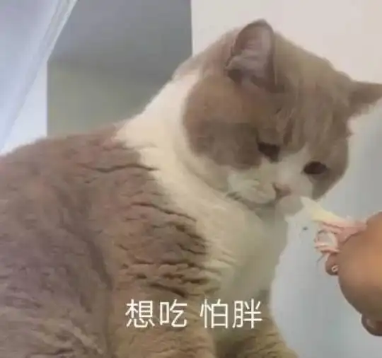 猫表情包什么都是他们的,我这个胖子连脖子都没有