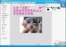 美图拍拍教你捕捉私房宠物超萌表情