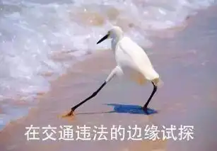 不能左转,也不能右转碰上这些交通标志随时有扣分的危险