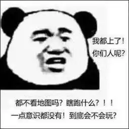游戏表情包,给我射手,不给挂机