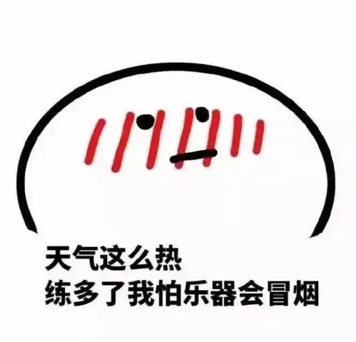有没有一些有趣的小提琴表情包