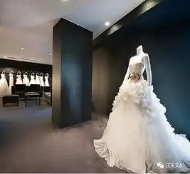 王薇薇和verawang婚纱