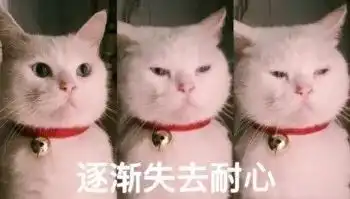 辨别致癌染发剂,集齐所有发色的安全操作