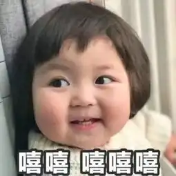 升温啦厦门70亩百日草花海怒放,赏花正当时安排