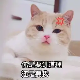 许富翔冷战陈意涵,张恒冷暴力郑爽,张智霖袁咏仪教你什么是爱