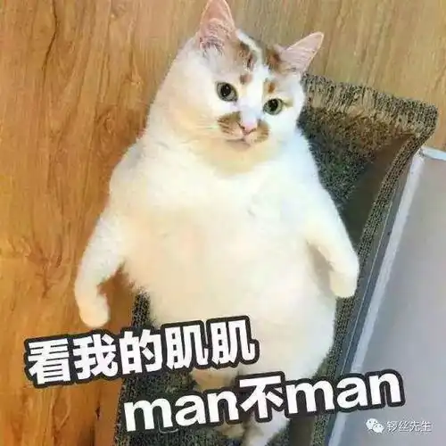 那些值得我们疯狂打call的国货好物合辑强烈推荐
