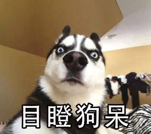 如何看待李国庆方面发布当当人事调整公告俞渝负责当当公益基金