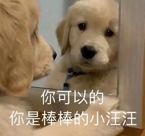 面试时部门经理问我的最大优势,我说我最大优势是漂亮