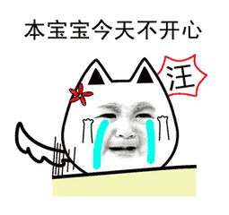 室友一生一起走,谁让带饭谁是狗