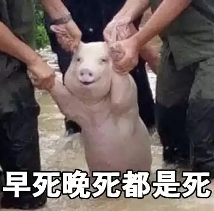 2017最火表情包出炉笑着笑着就扎心了赶快右键来收图
