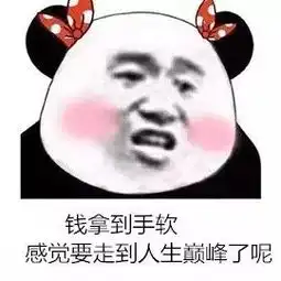 女孩被骗后,找到了赚300万的新事业