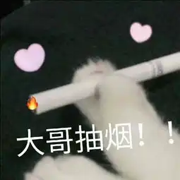 975的博客菁优网