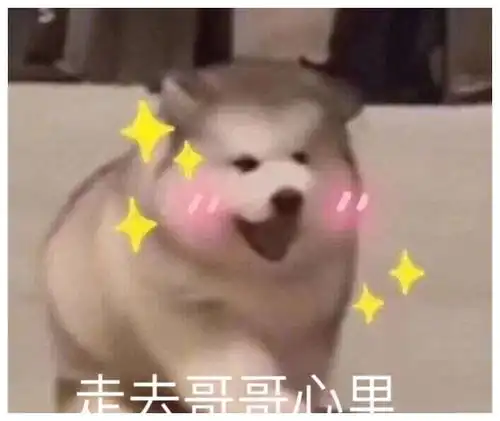 舔狗星座的一生,舔到最后一无所有