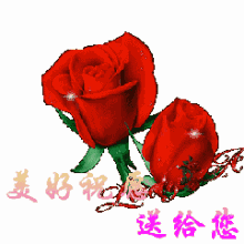 天津相声广播转发这条罾蹦锦鲤,祝大家考研顺利