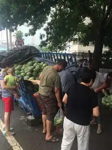 郑州瓜农遇地陷农用车被卡市民买光所有西瓜