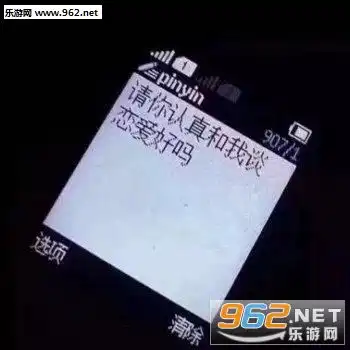 我的心被偷走了图片本群龙王必单身表情包下载乐游网游戏下载