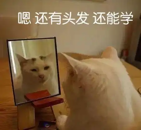 这是我认为ppt里面最精致的效果,然后大部分人都不会用