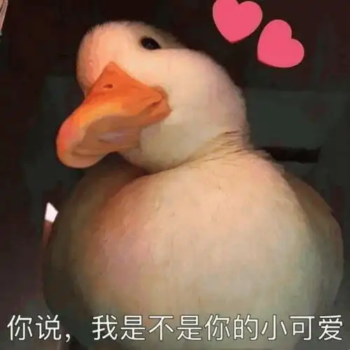 鸭货测评朋友们,冲鸭鸭鸭鸭鸭鸭鸭鸭鸭