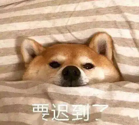 10小雨冷空气来袭今年元旦有点冷...