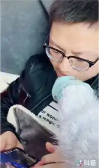 抖音猫鼠夫妻日常互怼粉丝说这才是爱情的样子