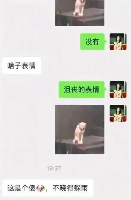 长辈对表情包有哪些误会哈哈哈哈一个比一个离谱