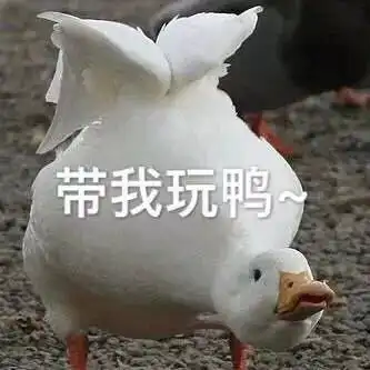 活动回顾缤纷社交之夜关于playhard这件事,逸夫书院是认真的