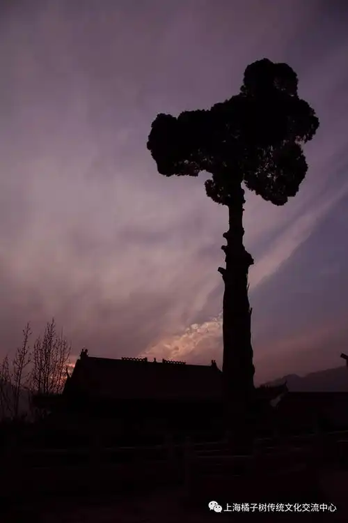 七月庐山文化之旅感受内心真正的清凉