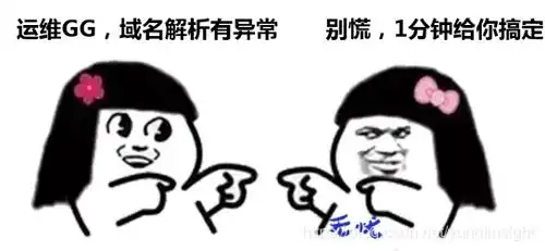 跟我学域名解析故障排查技巧