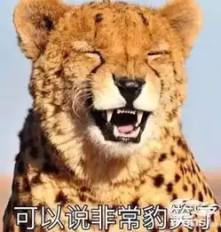 生化危机6为秀恩爱诞生的完结篇