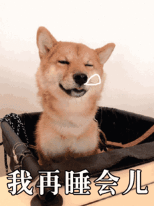 柴犬gif表情包大全