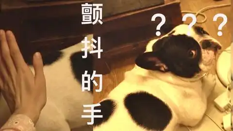 法斗到底有多喜欢被主人摸一脸享受的小表情没错啦