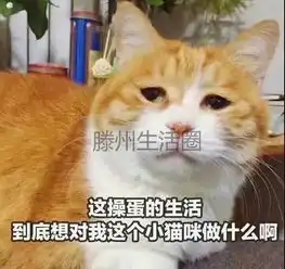 求职