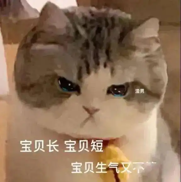 达令,今晚自驾游吗第257期喵表情