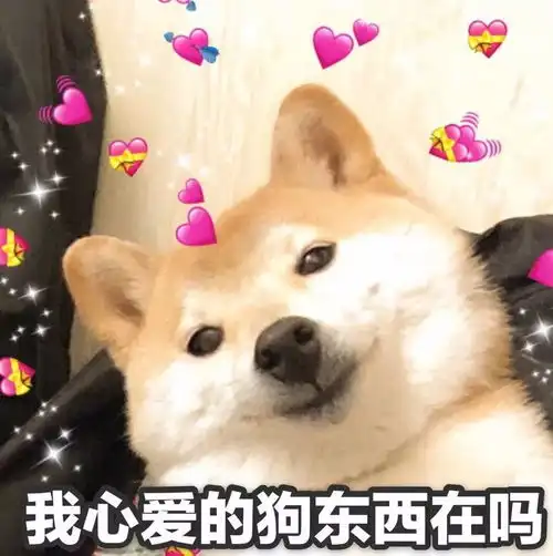 揭秘长大学子奢侈品消费观念大调查