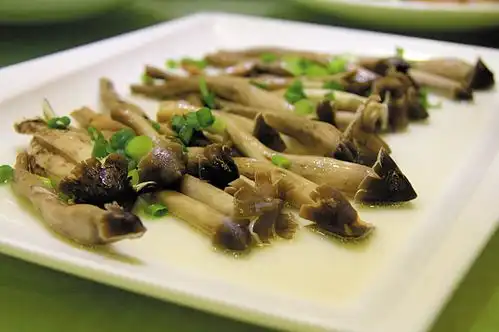 有哪些产地在中国的顶级食材