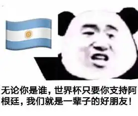 伪球迷必备世界杯表情包