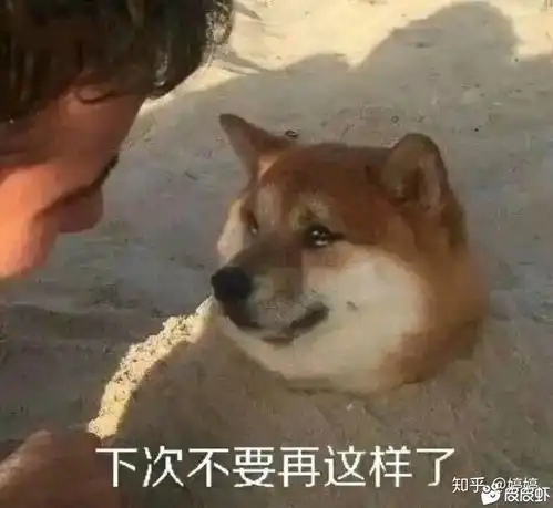 如何评价神奇女侠1984在中国大陆票房扑街