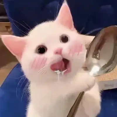 哇,这组猫咪表情包太萌了,爱了爱了,快来吸猫收图