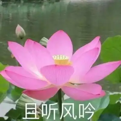 千锦app