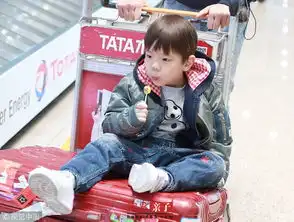 嗯哼坐行李车龇牙吐舌鬼马表情超可爱