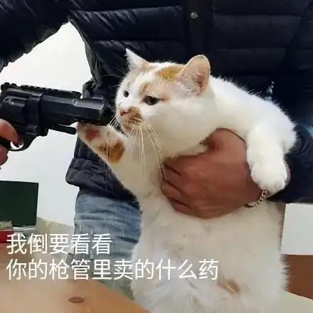 成都龙泉驿区大面铺镇是不是大面镇