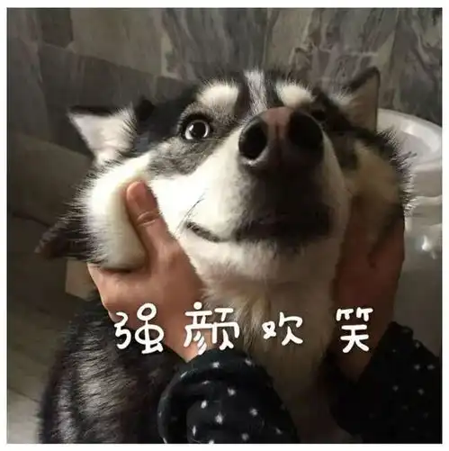 四六级过了但不到500分,会有哪些影响