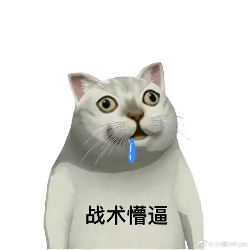 目前b站30个mur猫专栏里面的表情包整合以及其他mur表情