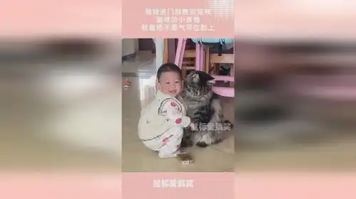 萌娃进门就教训猫咪,猫咪的小表情,就差把不服气写在脸上