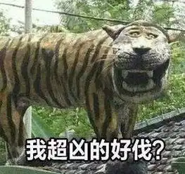 秋老虎发威,天气又闷又热别急降温已在路上